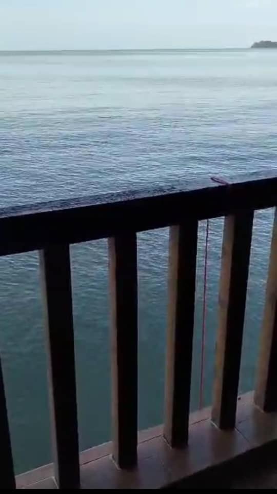 Bidadari Lagoon 4 Islamic Homestay 波德申 外观 照片